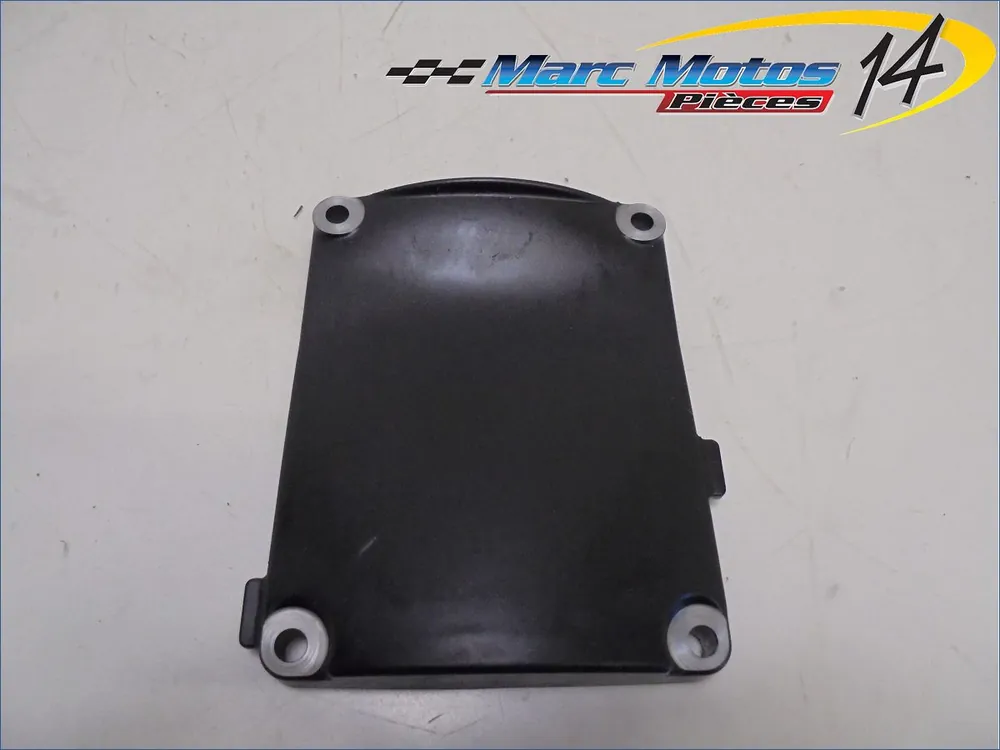 CARTER DIVERS YAMAHA FZ8 N 2011 Promotion