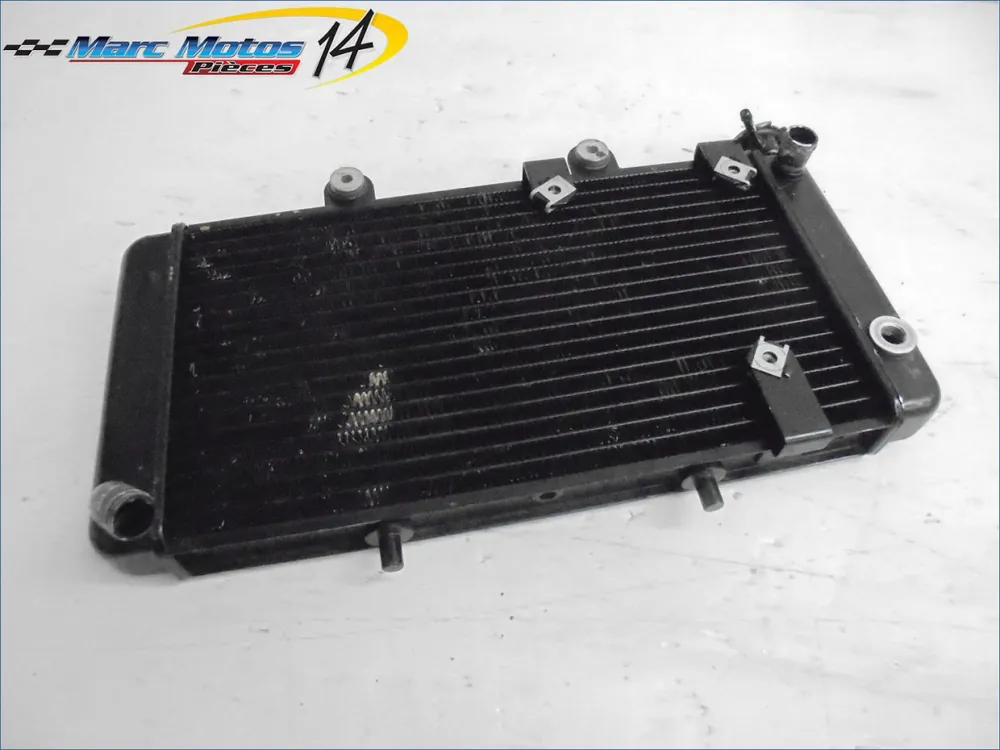 Offre Limitée RADIATEUR D‘EAU APRILIA 650 PEGASO 1998