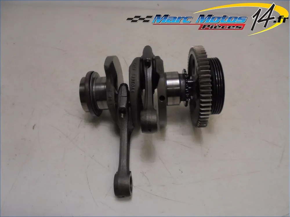 VILEBREQUIN BMW R1200GS 2012 Quantité Limitée
