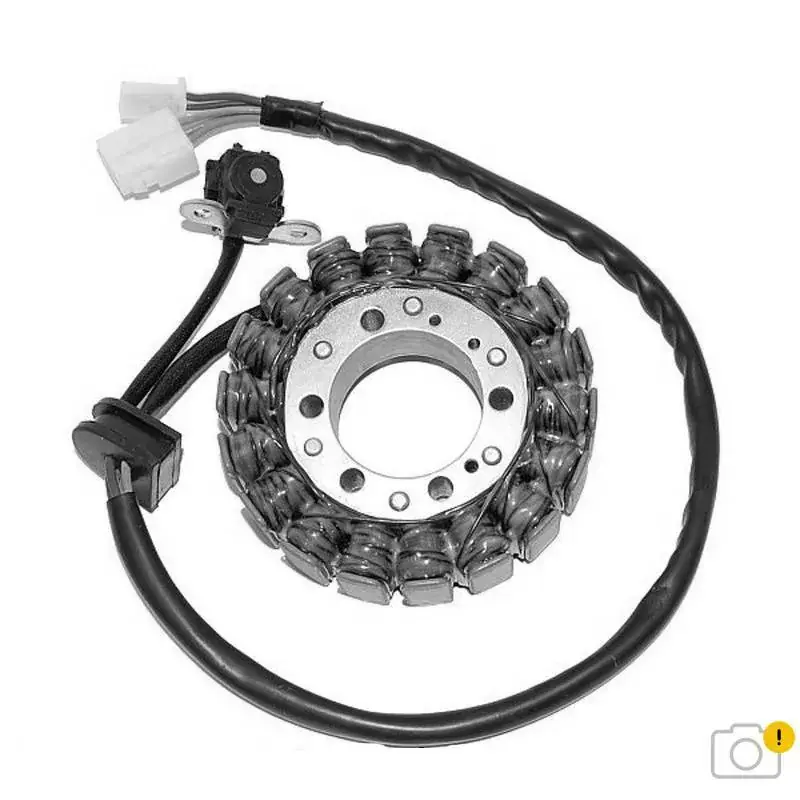Electrosport 1078086 Stator ELECTROSPORT - Triumph Achat Immédiat