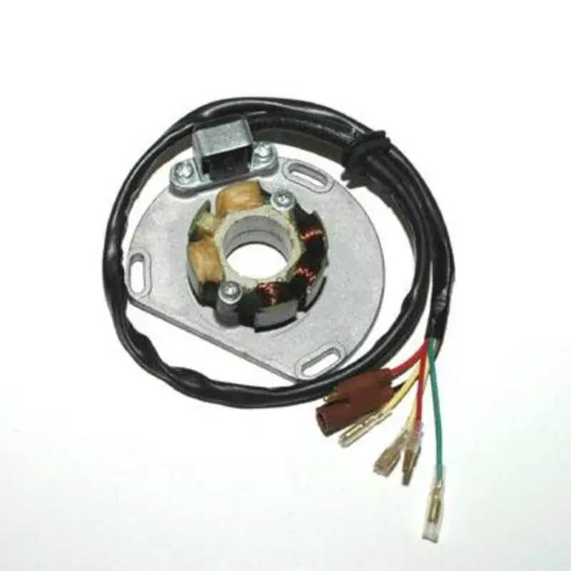 Electrosport 1078120 Stator ELECTROSPORT - KTM Usine Directe