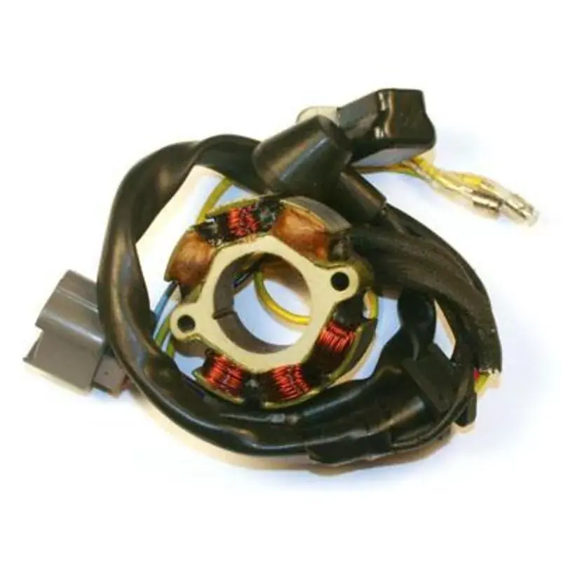 Expédition Rapide Electrosport 1078124 Stator avec bobine d‘éclairage ELECTROSPORT - Suzuki RM-Z250