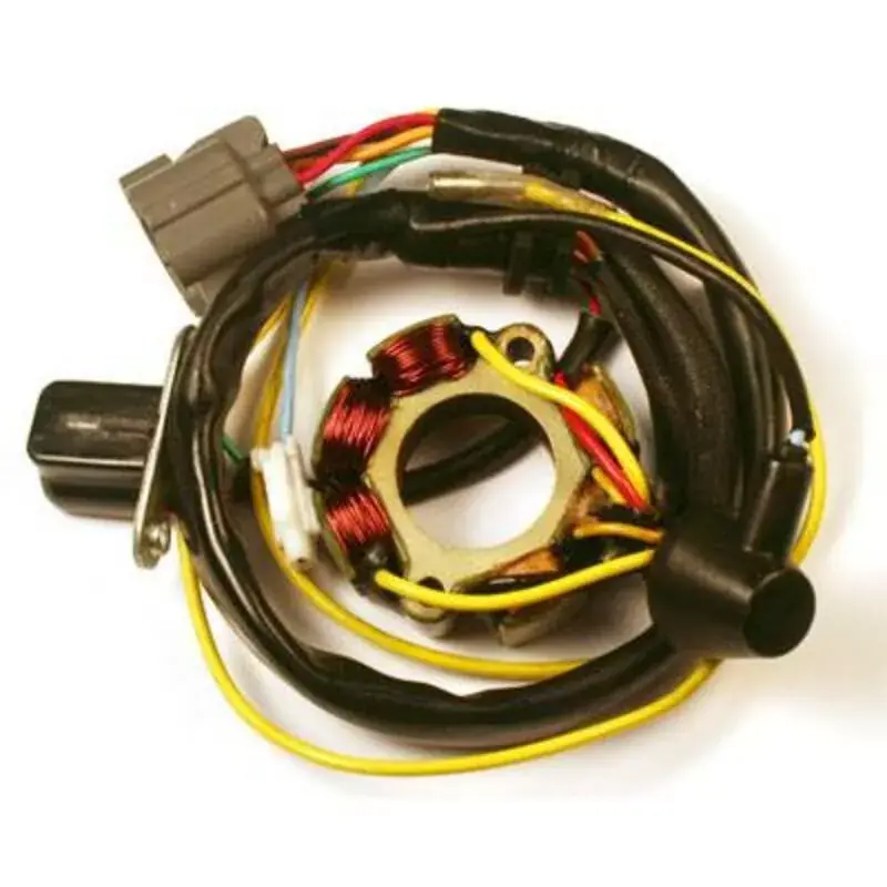 Electrosport 1078125 Stator avec bobine d‘éclairage ELECTROSPORT - Suzuki RM-Z250 Acheter En Ligne