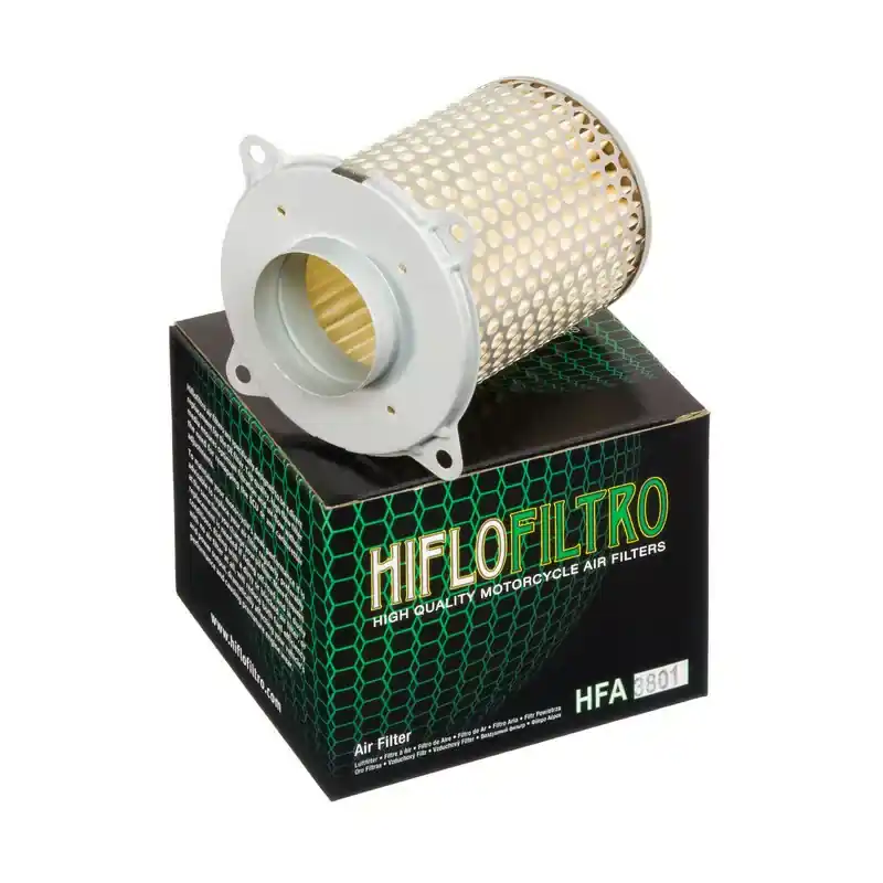 Hiflofiltro 1097208 Filtre à air HIFLOFILTRO - HFA3801 Pas Cher