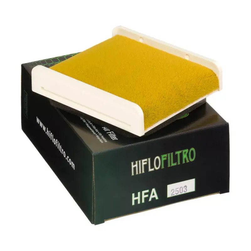 Promotion Hiflofiltro 1097235 Filtre à air HIFLOFILTRO - HFA2503