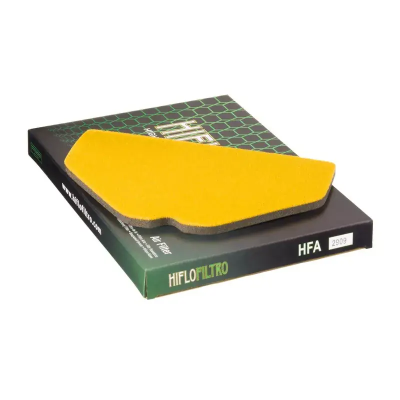 Seulement Aujourd'hui Hiflofiltro 1097352 Filtre à air HIFLOFILTRO - HFA2909