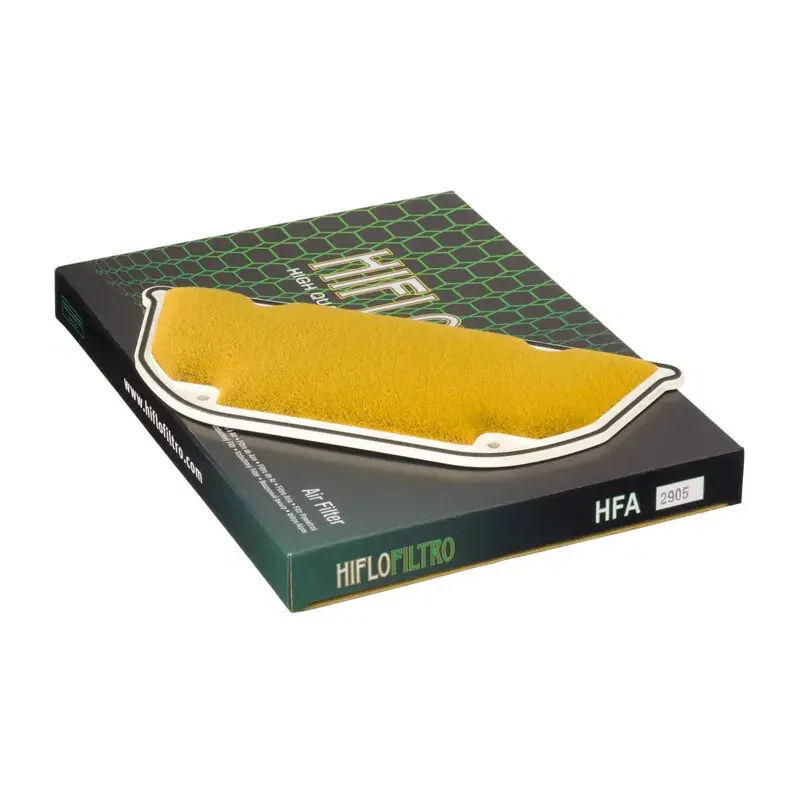 Hiflofiltro 1097406 Filtre à air HIFLOFILTRO - HFA2905 Affaire À Saisir