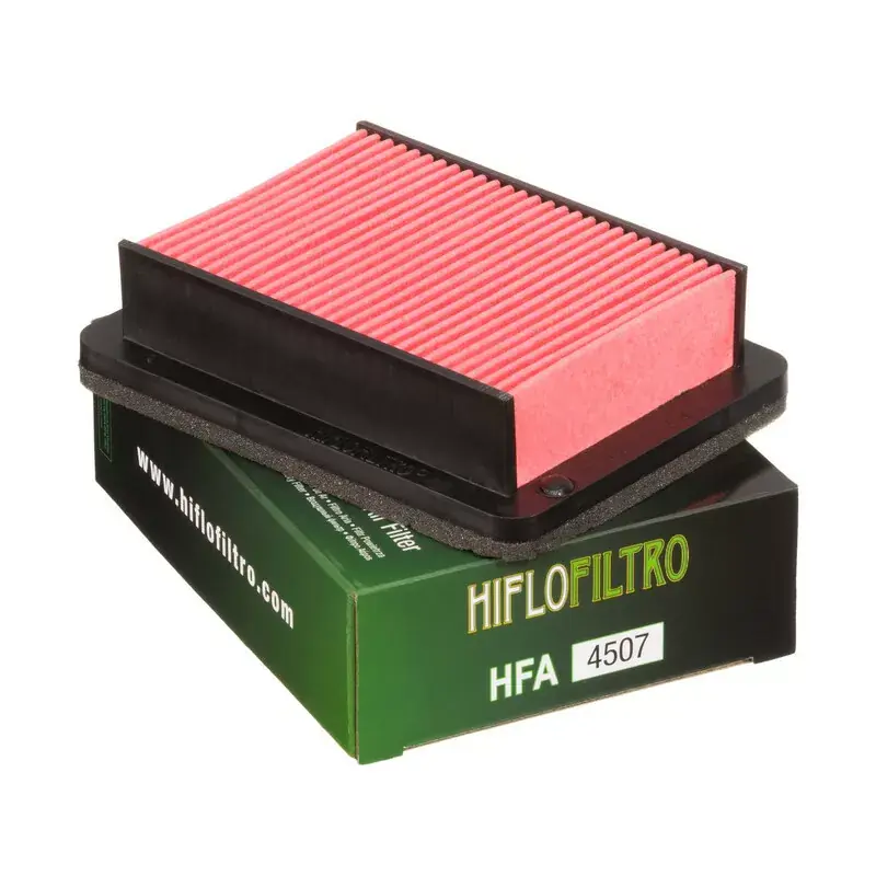 Vente Flash Hiflofiltro 1097411 Filtre à air HIFLOFILTRO - HFA4507
