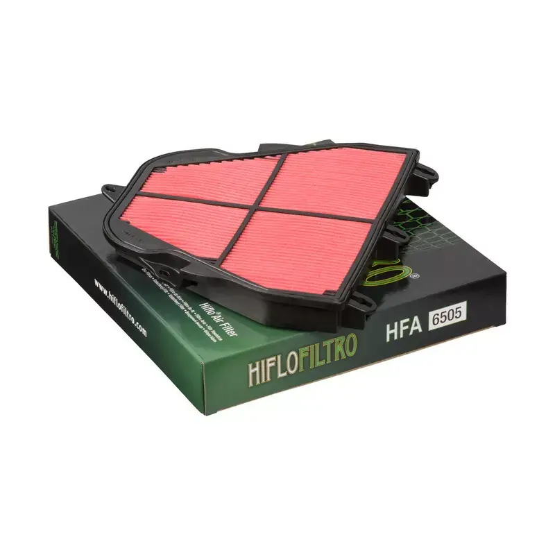 Hiflofiltro 1097413 Filtre à air HIFLOFILTRO - HFA6505 Nouvel Arrivage