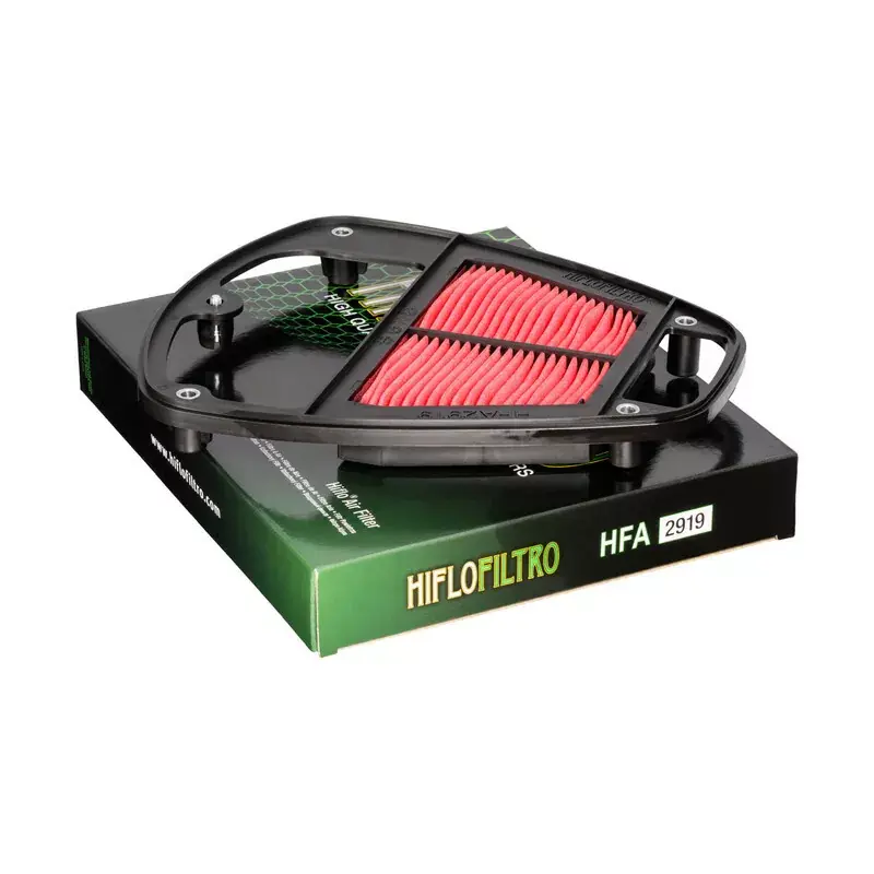 Achat Immédiat Hiflofiltro 1097491 Filtre à air HIFLOFILTRO - HFA2919