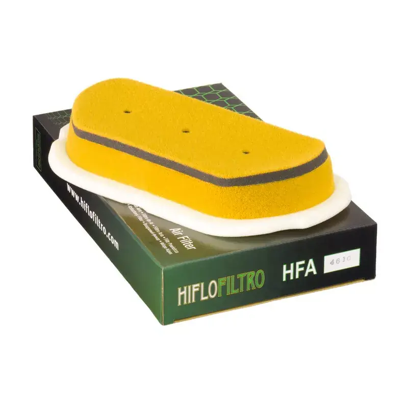 Super Prix Hiflofiltro 1097506 Filtre à air HIFLOFILTRO - HFA4610