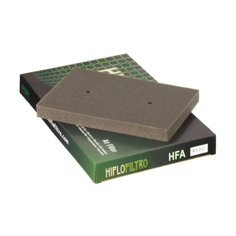 Hiflofiltro 1097519 Filtre à air HIFLOFILTRO - HFA2505 Dernier Modèle