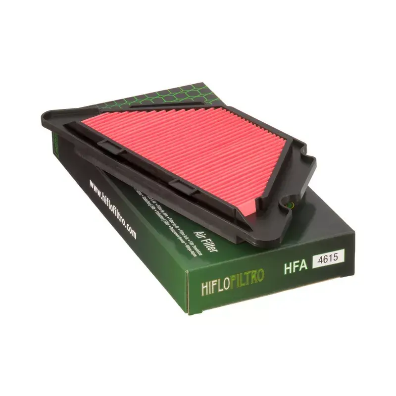 Nouvel Arrivage Hiflofiltro 1097524 Filtre à air HIFLOFILTRO - HFA4615