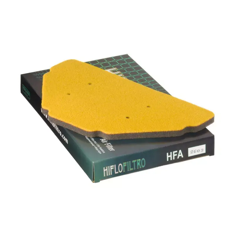 Commande En Gros Hiflofiltro 1097594 Filtre à air HIFLOFILTRO - HFA2603