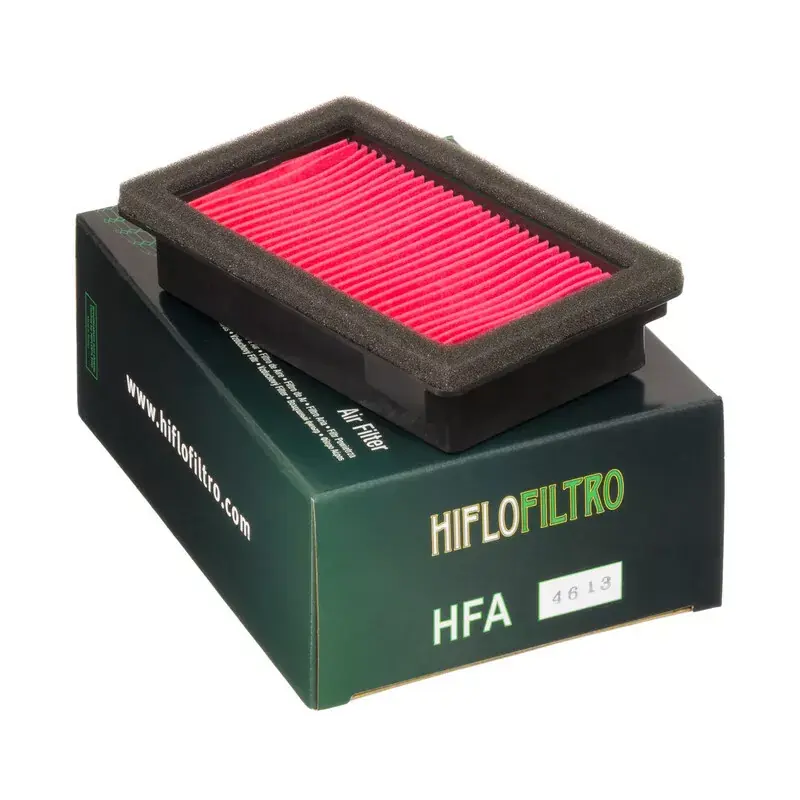 Hiflofiltro 1097774 Filtre à air HIFLOFILTRO - HFA4613 Bon Plan