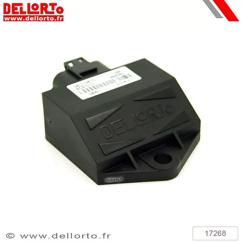 Dell‘Orto 1126959 Boîtier de commande DELLORTO ECU Original 25km/h Populaire