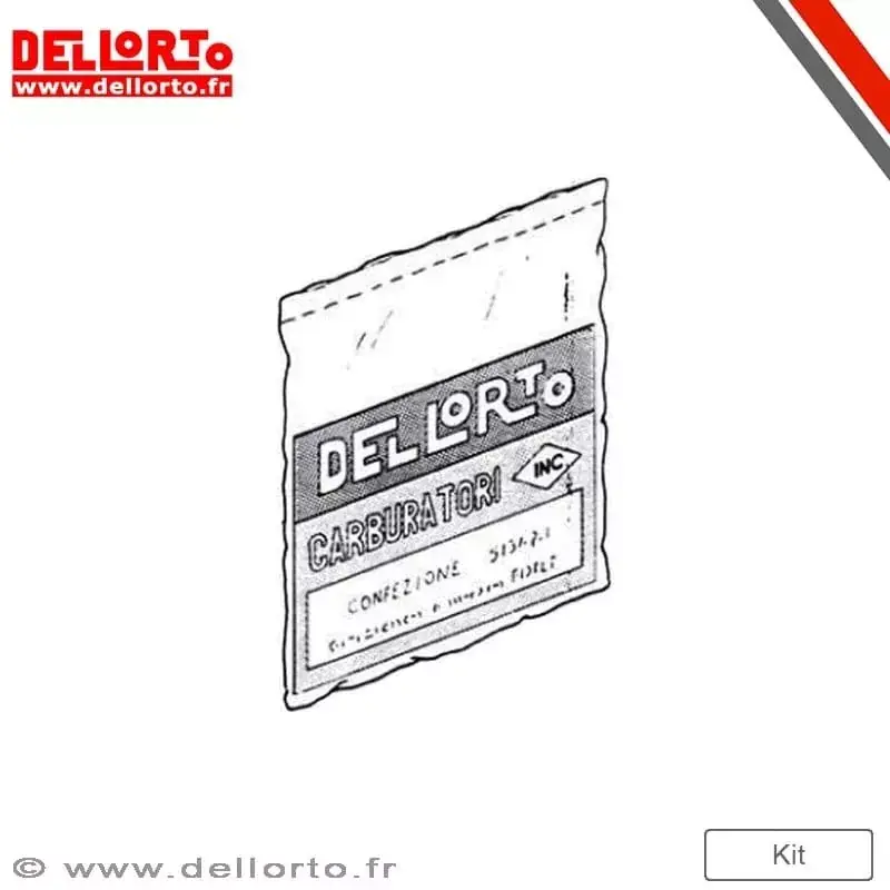 Jusqu'à Épuisement Des Stocks Dell‘Orto 1126960 Boîtier de commande DELLORTO ECU ECS Original 45km/h