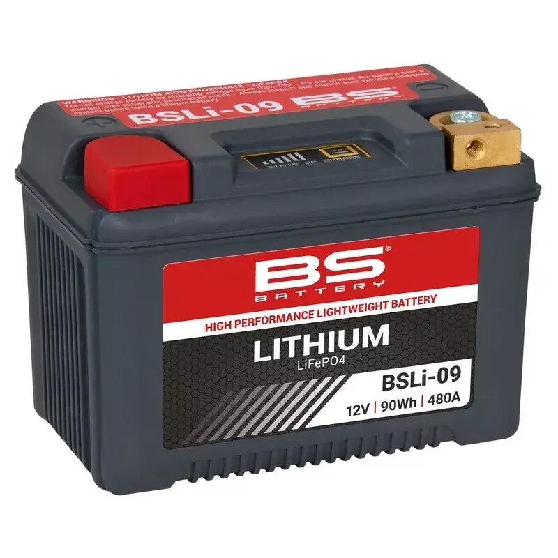 Meilleure Vente BS Battery 1128230 Batterie BS BATTERY Lithium-Ion - BSLI-09