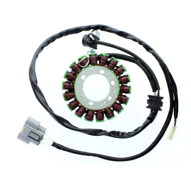 Meilleur Prix Electrosport 1128296 Stator ELECTROSPORT