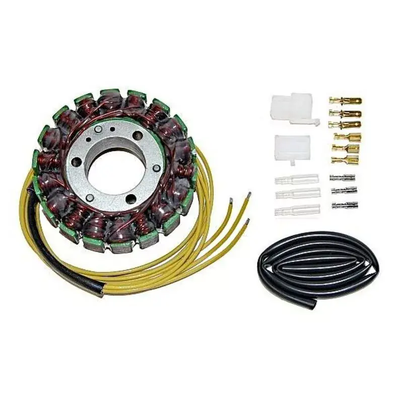 Electrosport 1140052 Stator ELECTROSPORT Populaire