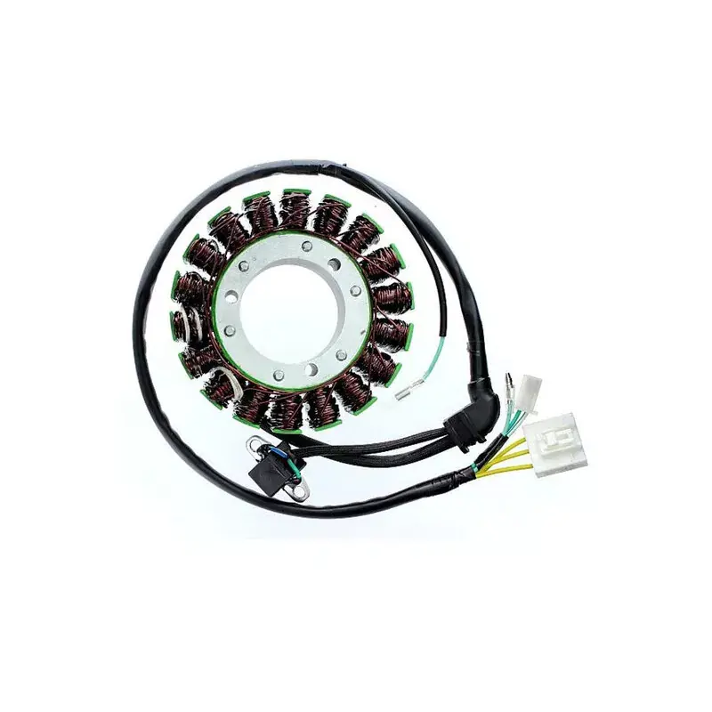 Electrosport 1140056 Stator ELECTROSPORT Populaire