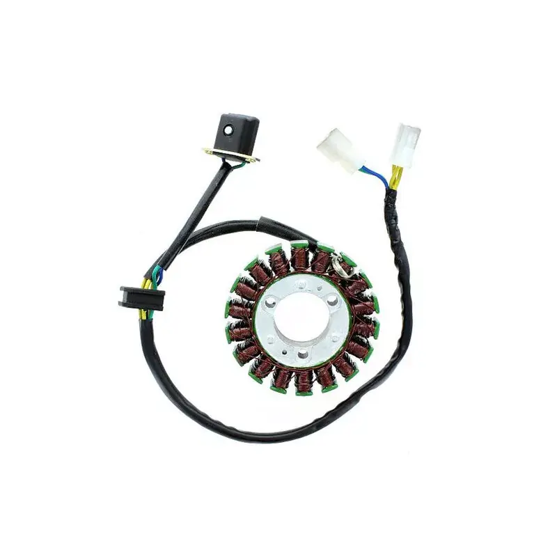 Electrosport 1140062 Stator ELECTROSPORT Bon Marché