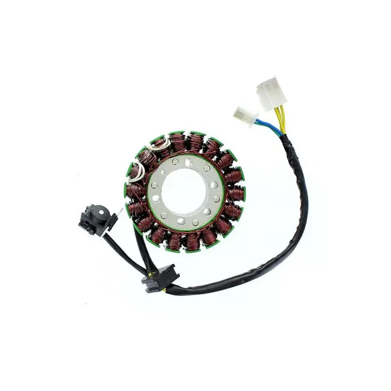 Nouvel Arrivage Electrosport 1140065 Stator ELECTROSPORT