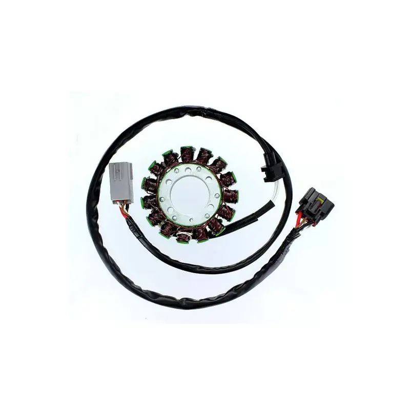 Electrosport 1140066 Stator ELECTROSPORT Prix Bas