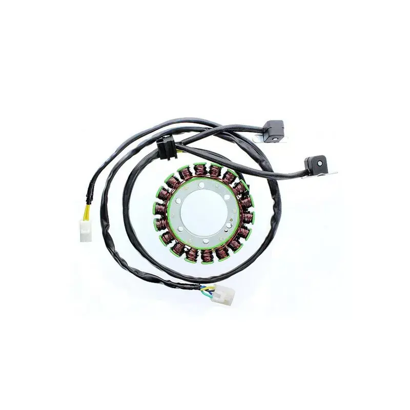 Electrosport 1140067 Stator ELECTROSPORT Commande En Gros