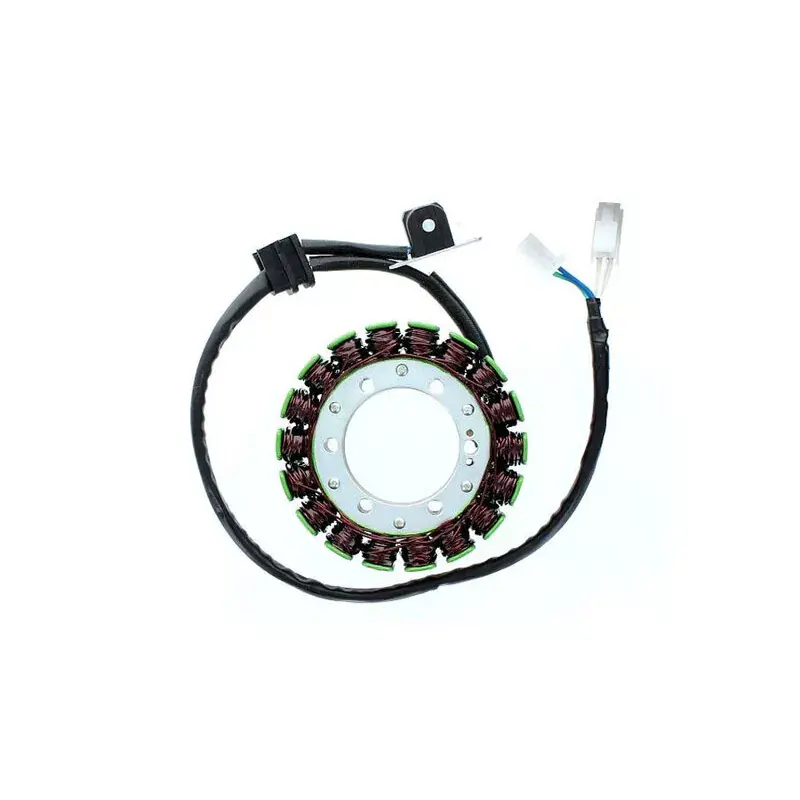 Electrosport 1140071 Stator ELECTROSPORT Promotion