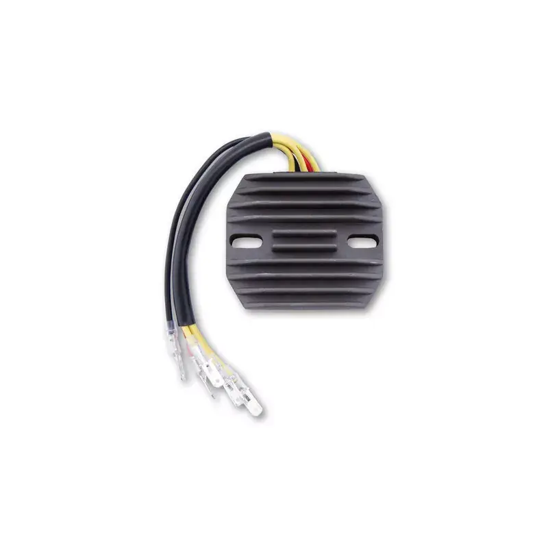 Electrosport 1140091 Régulateur ELECTROSPORT Pas Cher