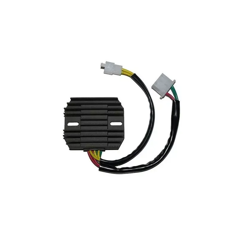 Electrosport 1140104 Régulateur ELECTROSPORT Haute Qualité