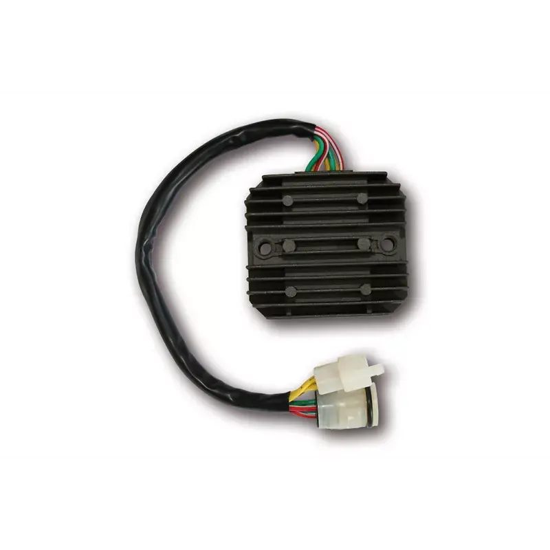 Certifié Electrosport 1140106 Régulateur ELECTROSPORT