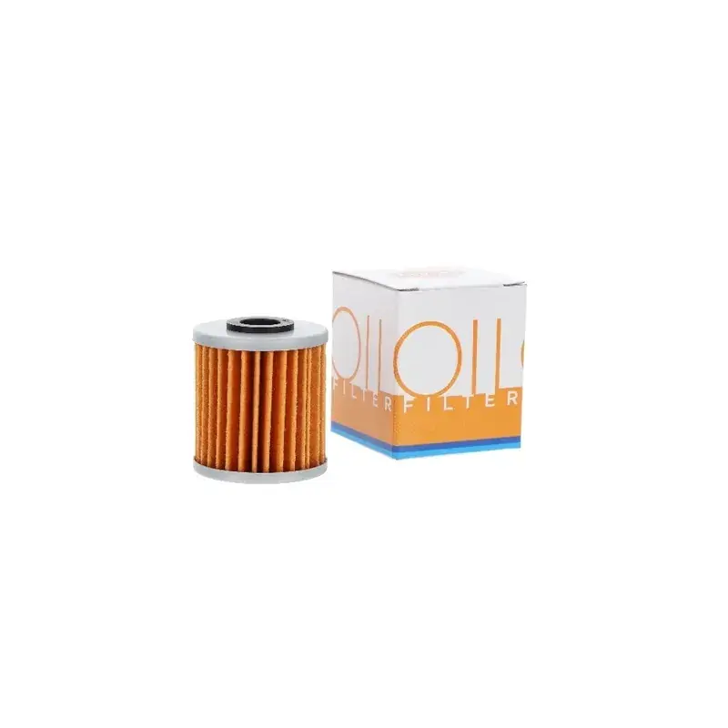 Twin Air 1018656 Filtre à huile TWIN AIR - 140018 Dernier Modèle