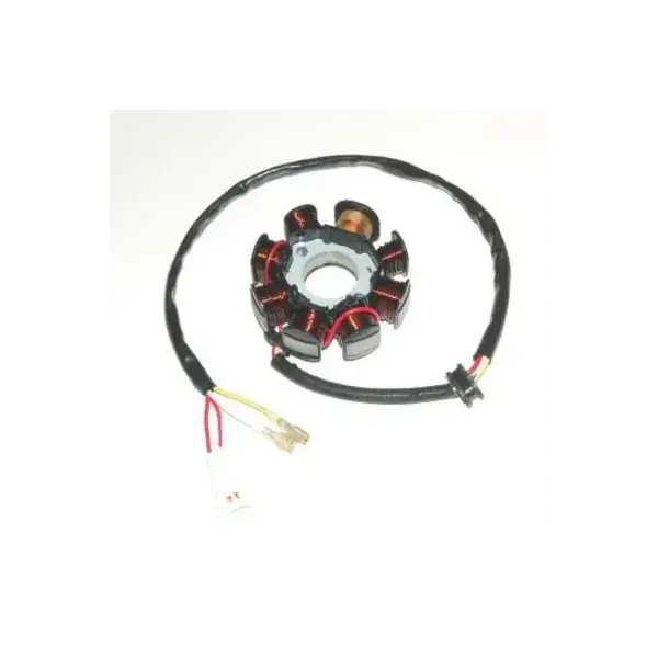 Stator ELECTROSPORT - KTM Affaire À Saisir