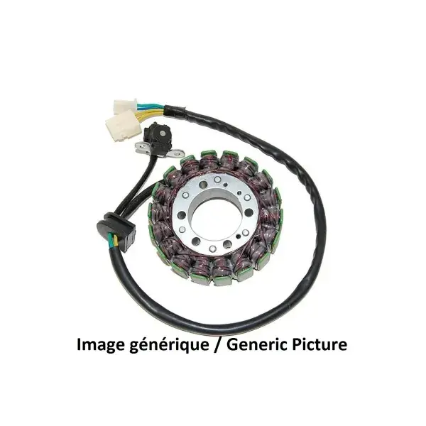Acheter Direct Stator ELECTROSPORT - Suzuki SV1000