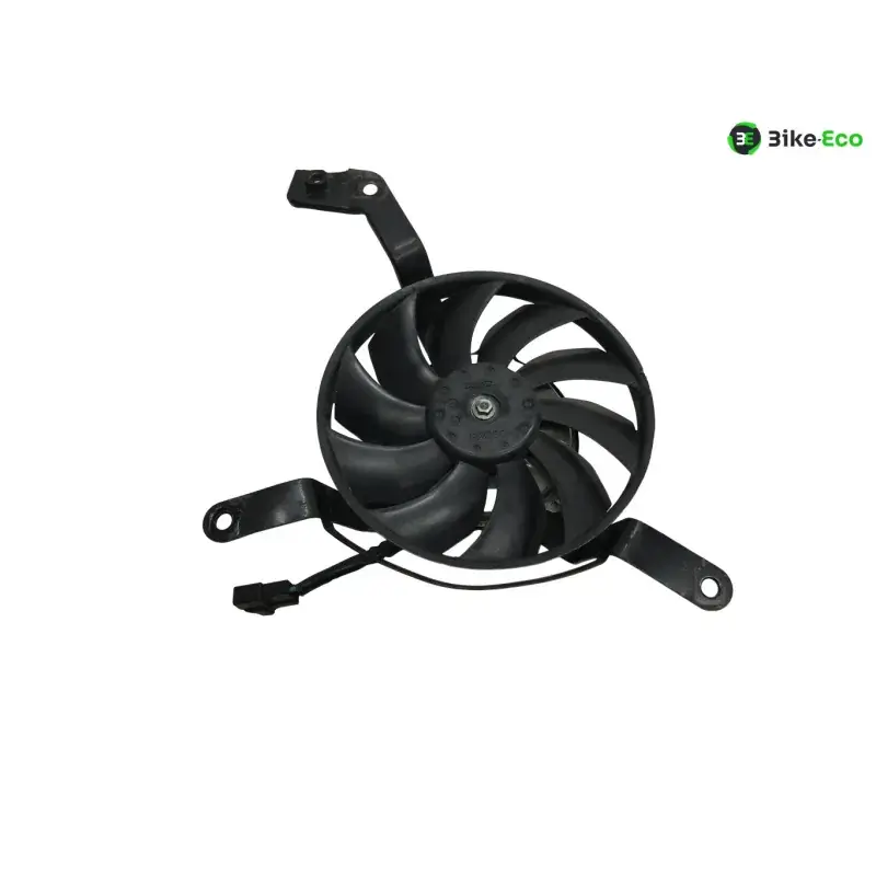 Dernière Chance Ventilateur TRIUMPH STREET TRIPLE 675 2011-2012