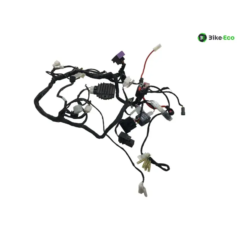 Prix Bas Faisceau electrique BETA ENDURO RR 125 2018-2020 4T