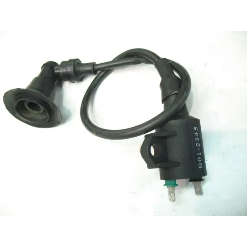 Bobine allumage GENERIC RACE II 50 2010-2014 Petit Prix