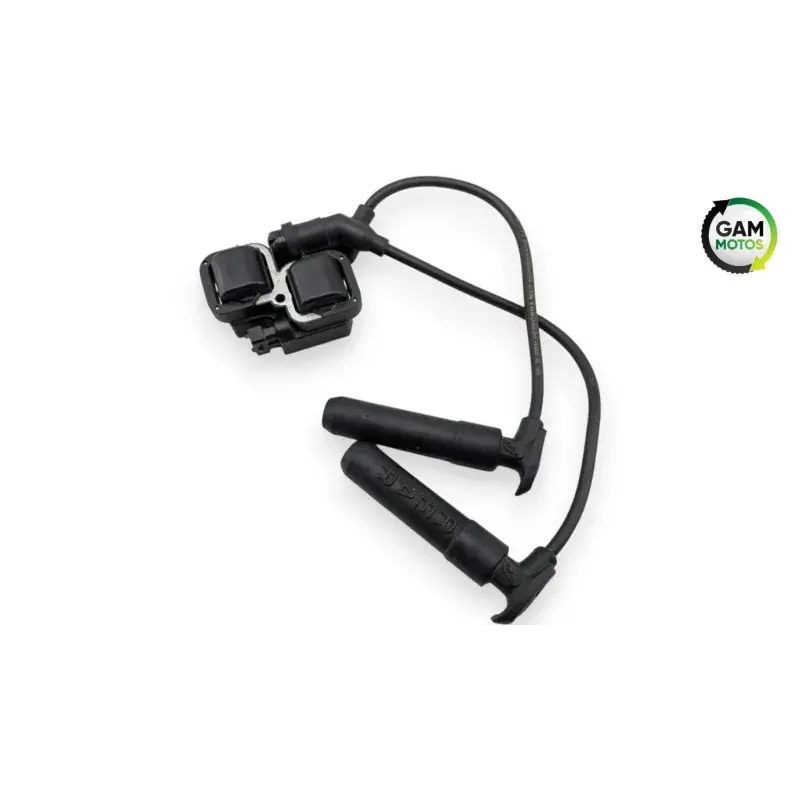 Bobine allumage INDIAN SPRINGFIELD 1811 2016 - 2021 Prix Promo