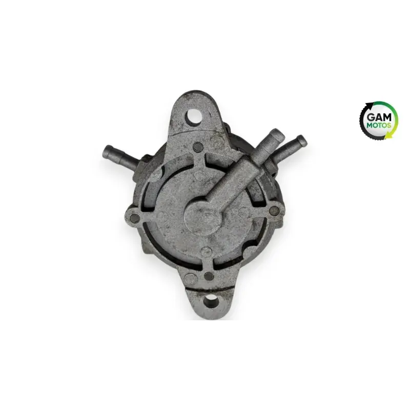 Commander Maintenant Pompe a essence ZNEN ZN 125 T 2006 - 2016