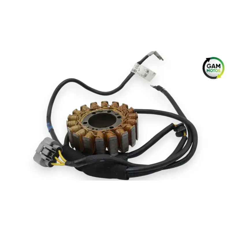 Livraison Express Stator alternateur DUCATI MONSTER 821 ABS 2014 - 2017