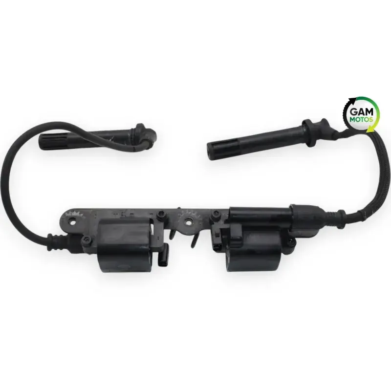 Acheter En Ligne Bobine allumage DUCATI MONSTER 821 ABS 2014 - 2017