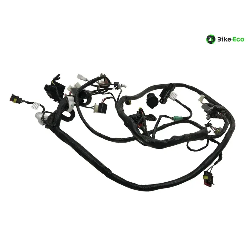 Faisceau electrique SILENCE S02 HS 2020-2025 Marque
