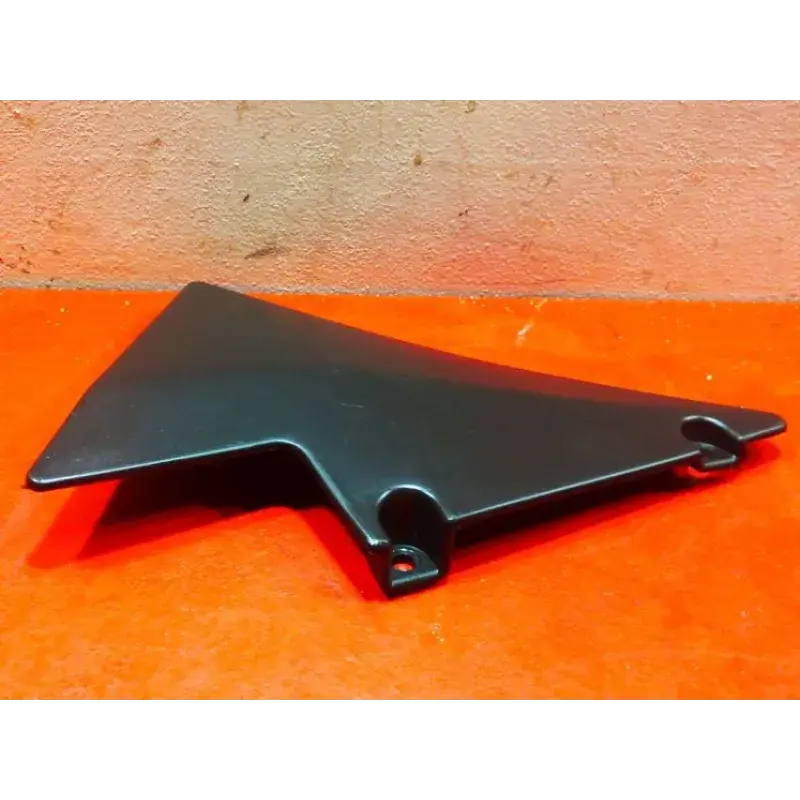 Expédition Rapide Cache lateral droit RIDE THORN 50 2012 - 2014