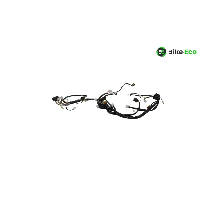 Promotion Saisonnière Faisceau electrique APRILIA RXV 450 2006 - 2009