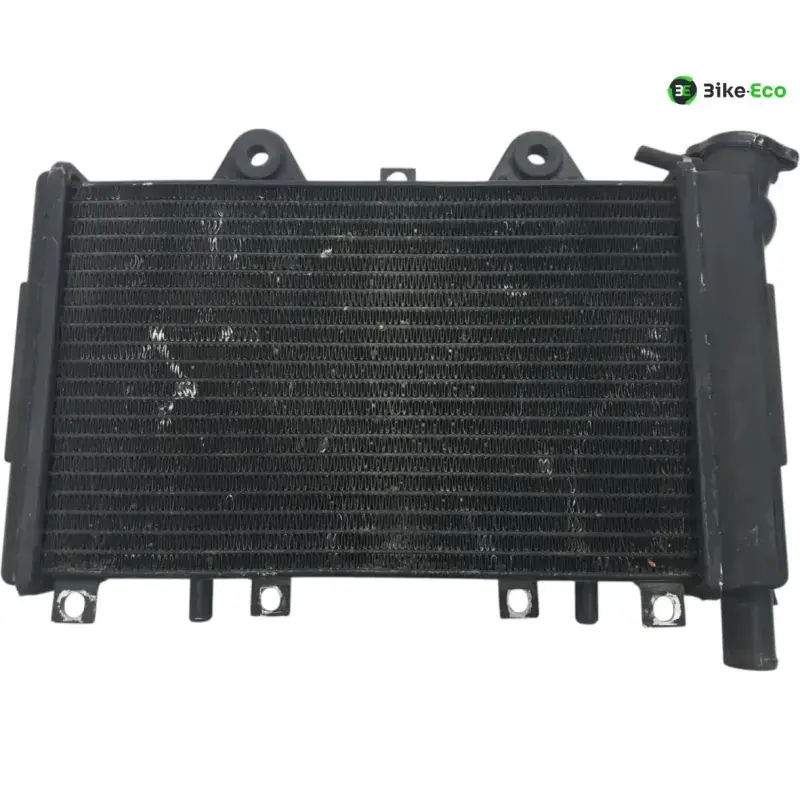 Prix Bas Radiateur eau TRIUMPH DAYTONA 900 1993-1996