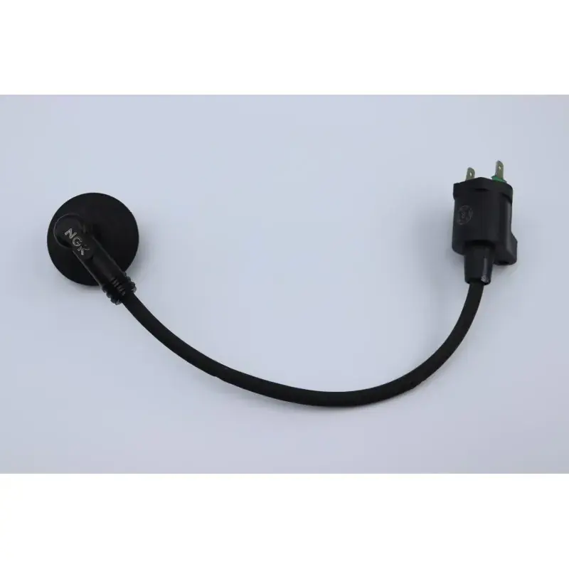Bobine allumage PEUGEOT VIVACITY 50 1998 - 2007 Dernière Chance
