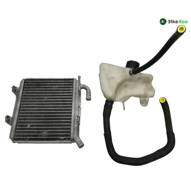 Radiateur eau APRILIA SR 50 2010-2014 R FACTORY IE CARBU Bon Plan