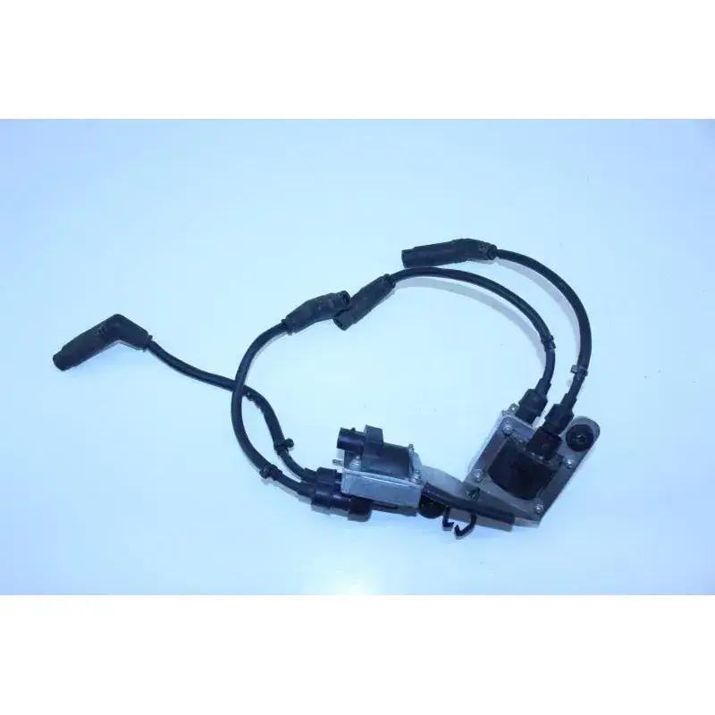 Bobine allumage APRILIA MANA 850 2009 - 2016 Petit Prix